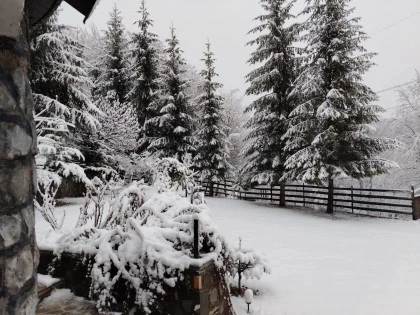 Peisaj de iarna cu zapada Valea Doftanei