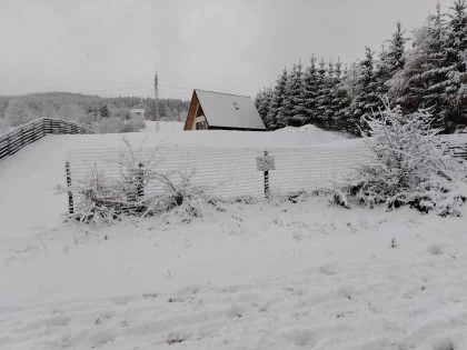 Peisaj de iarna cu zapada Valea Doftanei