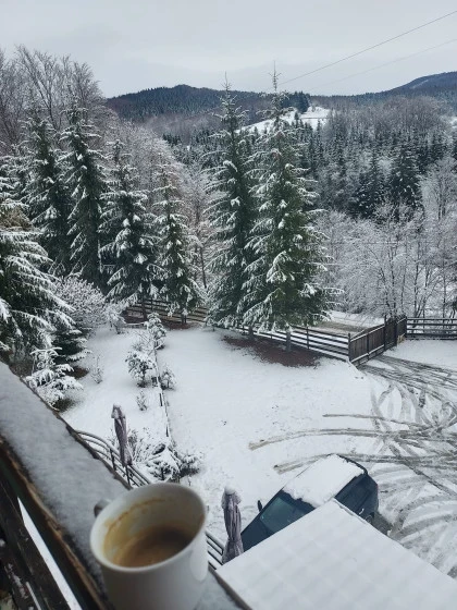 Peisaj de iarna cu zapada Valea Doftanei