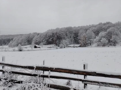 Peisaj de iarna cu zapada Valea Doftanei