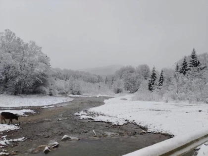 Peisaj de iarna cu zapada Valea Doftanei