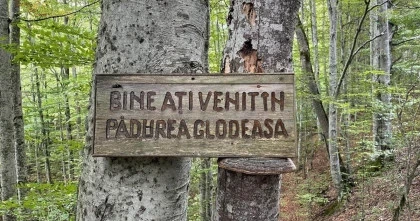 Padurea glodeasa obiectiv turistic Valea Doftanei