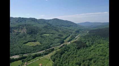 Rezervatia glodeasa Valea Doftanei