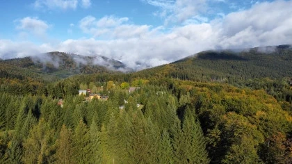 Peisaj - La Taverna Valea Doftanei